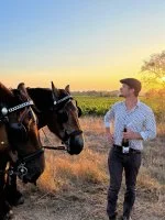 Balade d&eacute;gustation - Vigneron avec chevaux &copy; Les Attelages du Vidourle