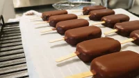 Visite du jardin et d&eacute;gustation de glace artisanal - Sauvages et Compagnie_Sardan &copy; Sauvages et Compagnie