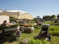Visite guid&eacute;e du Jardin de m&eacute;dicinales et du s&eacute;choir_Calvisson &copy; Au Jardin de BIzac
