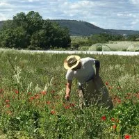 Au jardin de Bizac &copy; 