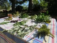 Au jardin de Bizac &copy; 