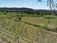 Oenotourisme - Vignoble © Domaine de Bancel