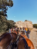 Balade en calèche - Chevaux et participants devant les vestiges d'une église © Les Attelages du Vidourle