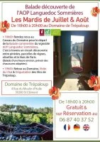 Balade d&eacute;couverte et d&eacute;gustation - Balade de l'&eacute;t&eacute; &copy; Domaine de Tr&eacute;paloup