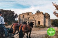 Balade découverte en calèche - - Tourisme durable © Les Attelages du Vidourle_Souvignargues