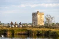 Les visites de la manade - Manade Saint-Louis_Vauvert &copy; 