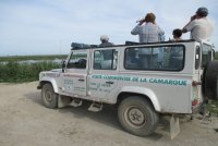 Camargue Aventure - Camargue Aventure - Visite commentée de la camargue, la faune et la flore, rizières ©camargueaventure