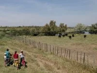 Camargue Autrement - Camargue Autrement &copy; Camargue Autrement