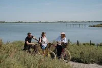 Bastide olivia - Camargue autrement Marais &copy; Camargue autrement