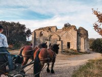 Balade en calèche - Calèche et chevaux devant vestiges d'une église © Les Attelages du Vidourle