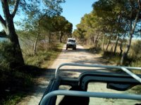 Camargue Sauvage - Chemin en 4'x4 © libre droit