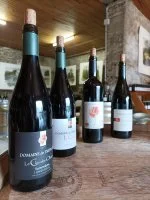 D&eacute;gustation au Caveau - Bouteilles de vins. &copy; Domaine de Tr&eacute;paloup