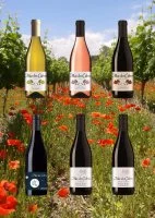 Les vins du Mas - pr&eacute;sentation de bouteilles &copy; Mas des Cabres
