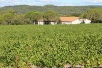 culture - culture &copy; domaine des Sauvaire
