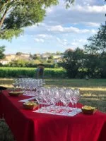 Vignoble - Reception en ext&eacute;rieur &copy; Mas Granier