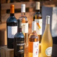 Les Vignerons du Sommi&eacute;rois - Bouteilles de vins &copy; VDS