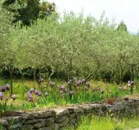 Vue de la Boucle des Olivettes &copy;GARD TOURISME