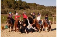 Domaine &eacute;questre de Maru&eacute;jols - Poneys &copy; Domaine &eacute;questre de Maru&eacute;jols