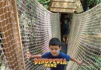 Dinopédia Parc enfants - Dinopédia Parc enfants qui jouent © Dinopédia Parc
