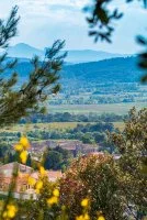 Bois des Lens &agrave; Montmirat - Point de vue sur la vall&eacute;e &copy; Alexandre Mazzocco