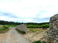 Fontan&egrave;s - Chemin et vignes &copy; OT Pays de Sommi&egrave;res