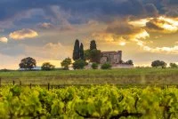 Rando Salinelles - Chapelle Saint-Julien de Montredon au milieu des vignes &copy; Alexandre Mazzocco