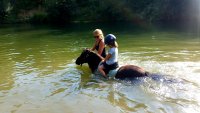 Les Poneys d'Aurel - balade à cheval dans l'eau © Les Poneys d'Aurel