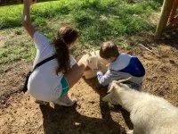 Les animaux de Green Park - Enfants avec des ch&egrave;vres &agrave; Green Park &copy; libre de droit