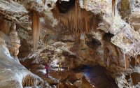 Grotte de la Salamandre - Stalactites © Thierry Aubé