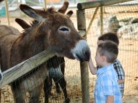 Petits fermiers Lansargues - Anes et enfants © Les Petits fermiers