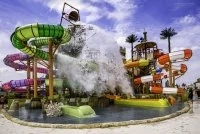 Wave Island - Wave Island &copy; Wave Island