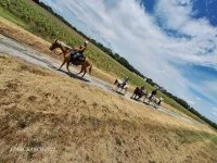 Balade &agrave; cheval - Cavaliers &copy; Les Poneys d'Aurel_Junas