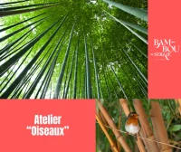  &copy; atelier oiseaux