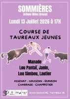 Course camarguaise taureaux jeunes_Sommi&egrave;res &copy; Club Taurin Sommi&egrave;rois et de son Pays