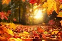 F&ecirc;te de l&rsquo;automne &copy; 