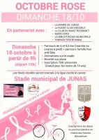 Affiche Octobre Rose : mobilisons-nous contre le cancer &copy; Ville Junas