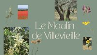 Charroi des olives et Fête de l'huile de l'Avent - Affiche © Moulin de Villevieille