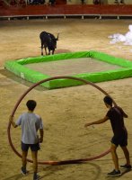 Toro piscine mousse - jeux taurins © Office de Tourisme du Pays de Sommières