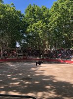 Visite guidée - Arènes Sommières © OT Pays de Sommières