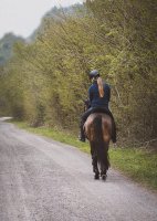 Promenade 2h dans la vaunage - Centre equestre - Saint-Côme-et-Maruéjols © Pixabay - Pezibear