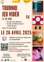 Tournoi Smash Bros_Sommi&egrave;res &copy; 