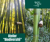 Atelier Nature et Biodiversit&eacute;_G&eacute;n&eacute;rargues &copy; 