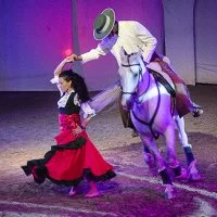  &copy; Cabaret equestre 