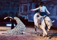  &copy; cabaret equestre 