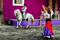  &copy; cabaret equestre 