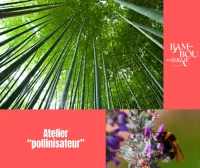 &copy; LaBambouseraieenc&eacute;vennes