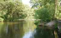 Rivi&egrave;re - Photo de la rivi&egrave;re &copy; Moulin du meunier