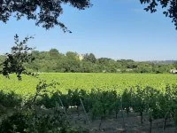Vue du mas vignes - Vue sur les vignes du mas &copy; Granier elisabeth