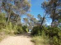 Meubl&eacute; de tourisme - chemin randonn&eacute;e autour du mas &copy; G&icirc;tes du Mas de Coste