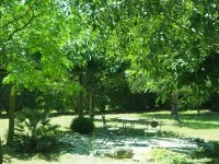 G&icirc;te "Aux Cypr&egrave;s du Sud"_Logrian-Florian &copy; 